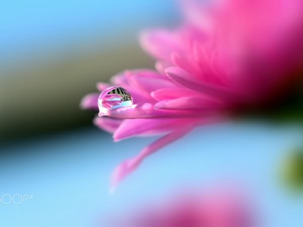 佛山市科桌科技有限公司網(wǎng)站全新改版！！